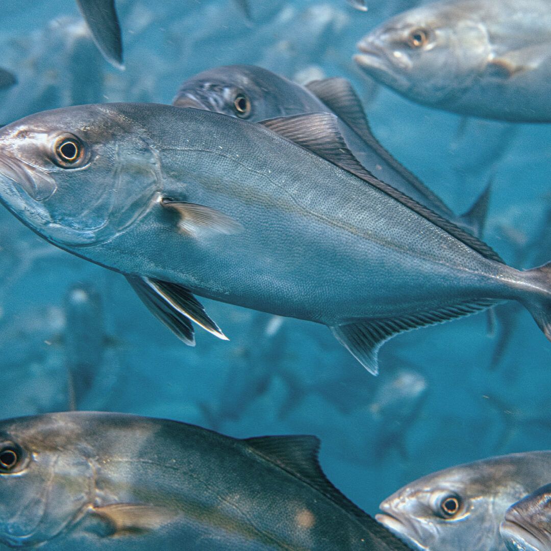 Odjel Laboratoriji i razvoj proizvoda