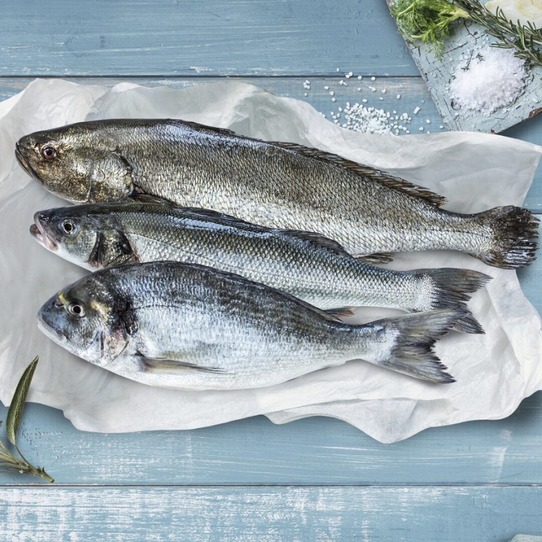 Cromaris Unique concept: