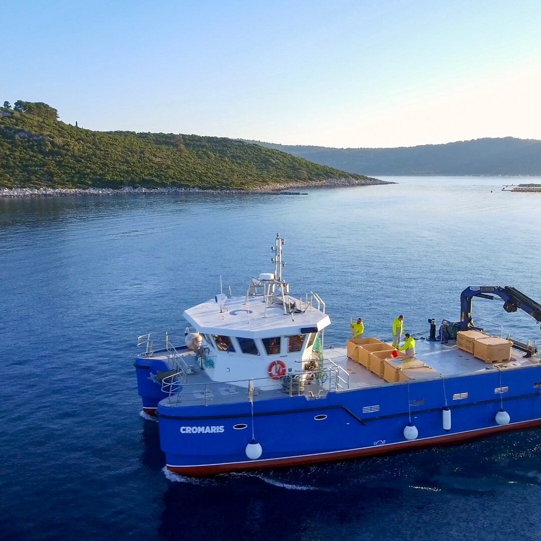 Naša prednost pred konkurencijom