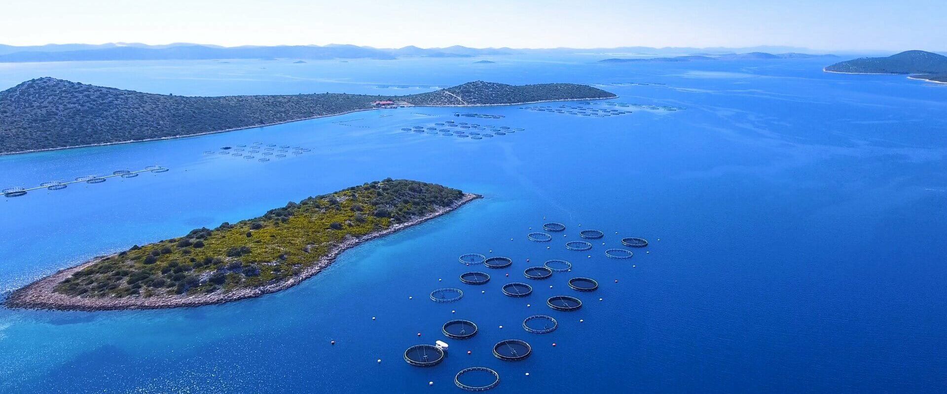 Cromaris ha realizzato la vendita di 10.000 tonnellate