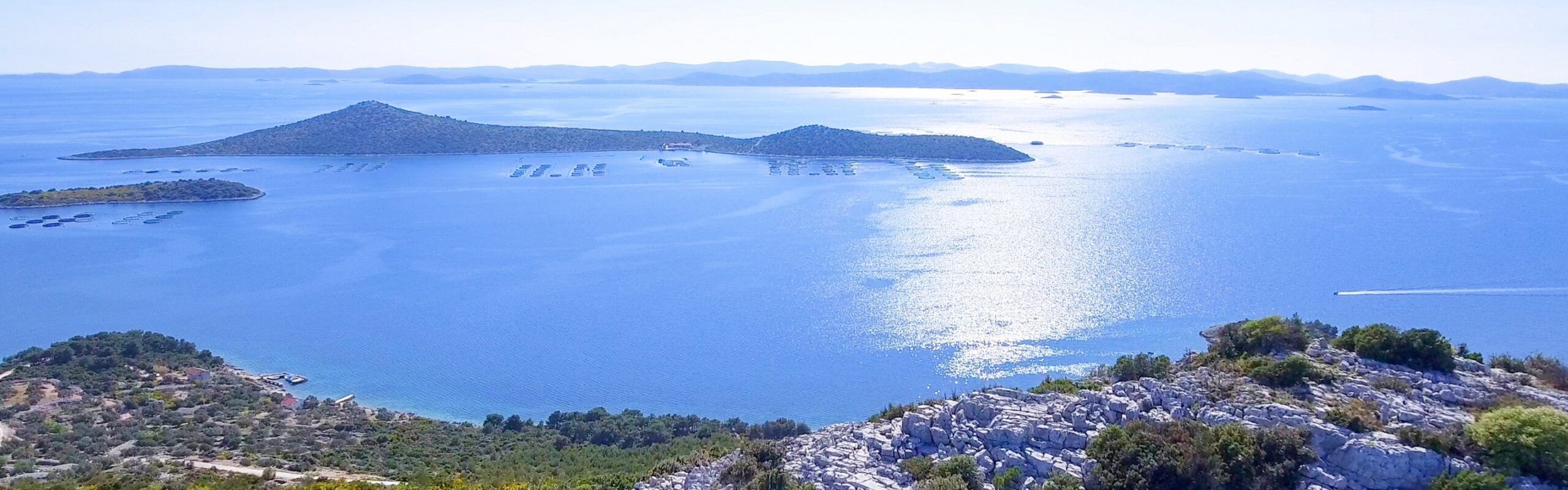 Tutela dell’ambiente