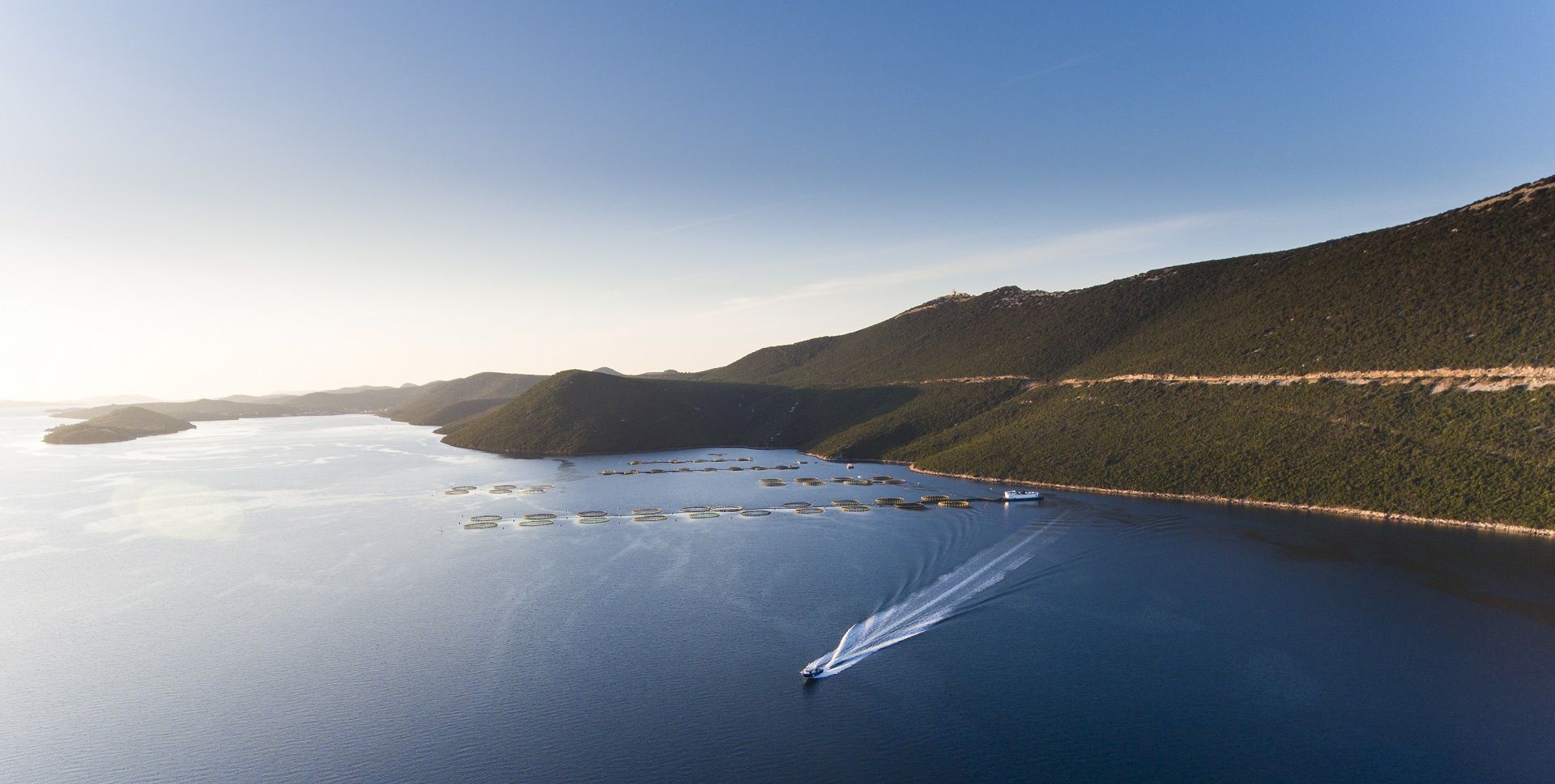 Allevamento Velo žalo