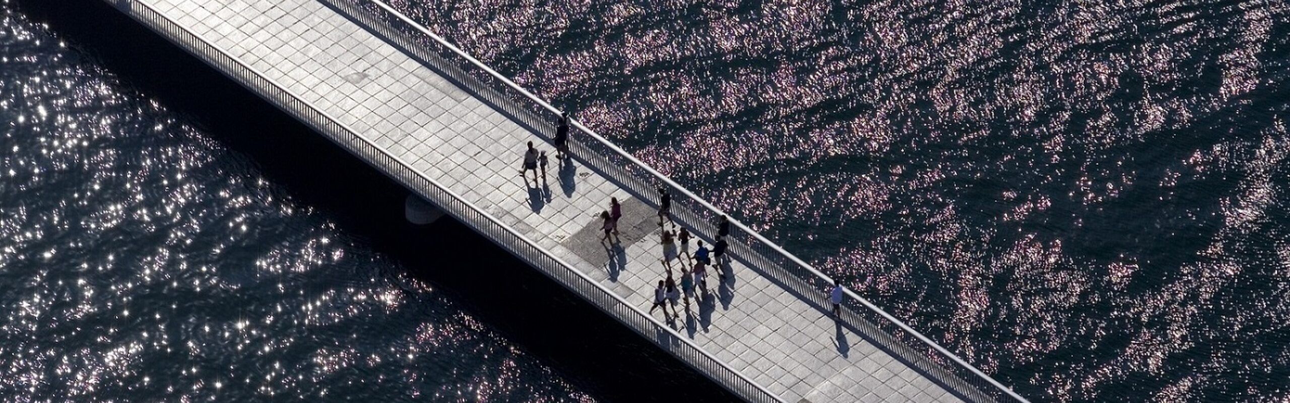 Social responsibility