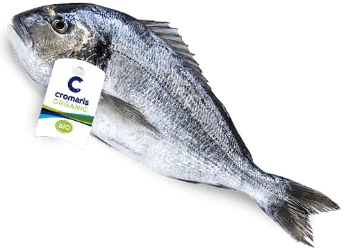 Cromaris BIO Seabream