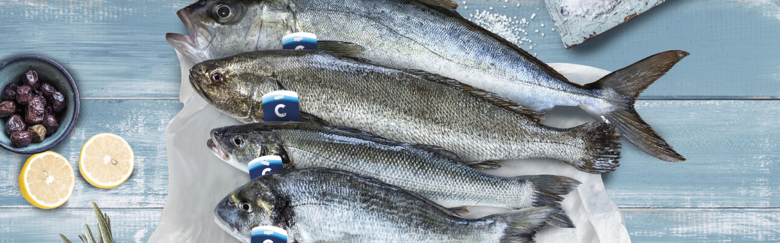 Cromaris Products Receive the Most Prestigious Worldwide Recognition for Quality