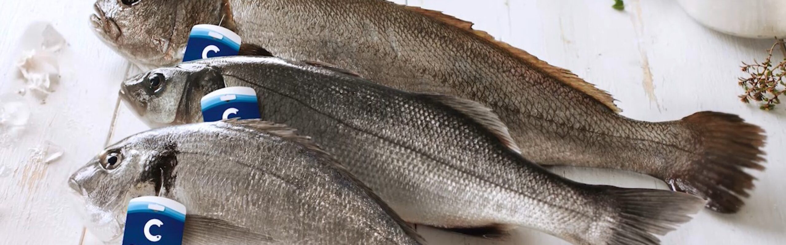 Ottenuto la certificazione ANTIBIOTIC FREE per l’intero ciclo di vita