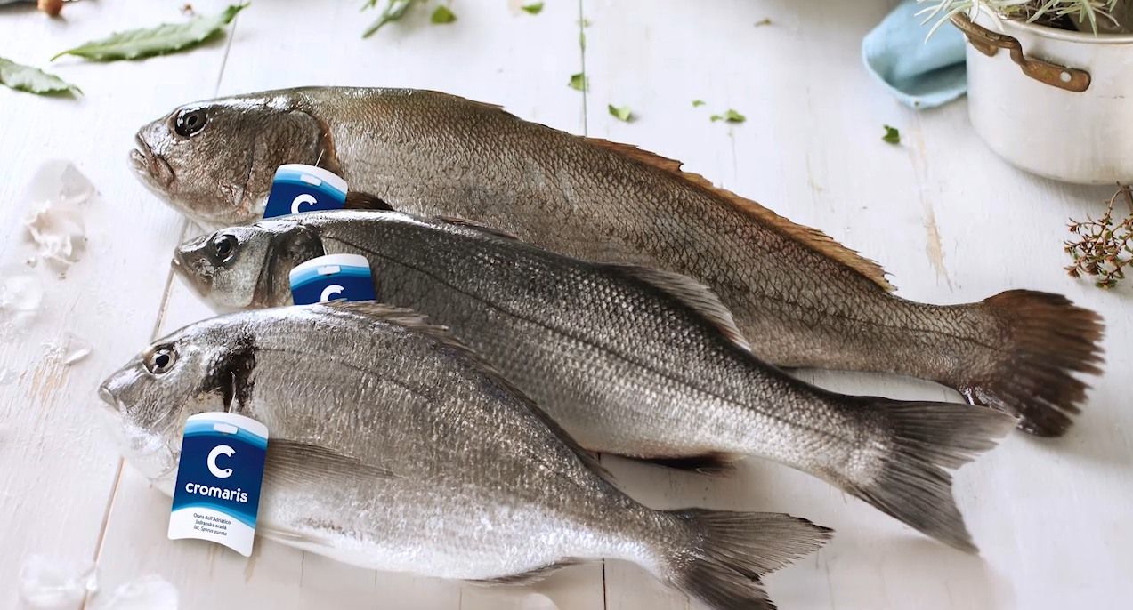 Obtained the ANTIBIOTIC FREE certification for the whole life cycle of Sea Bass, Sea Bream and Meagre!