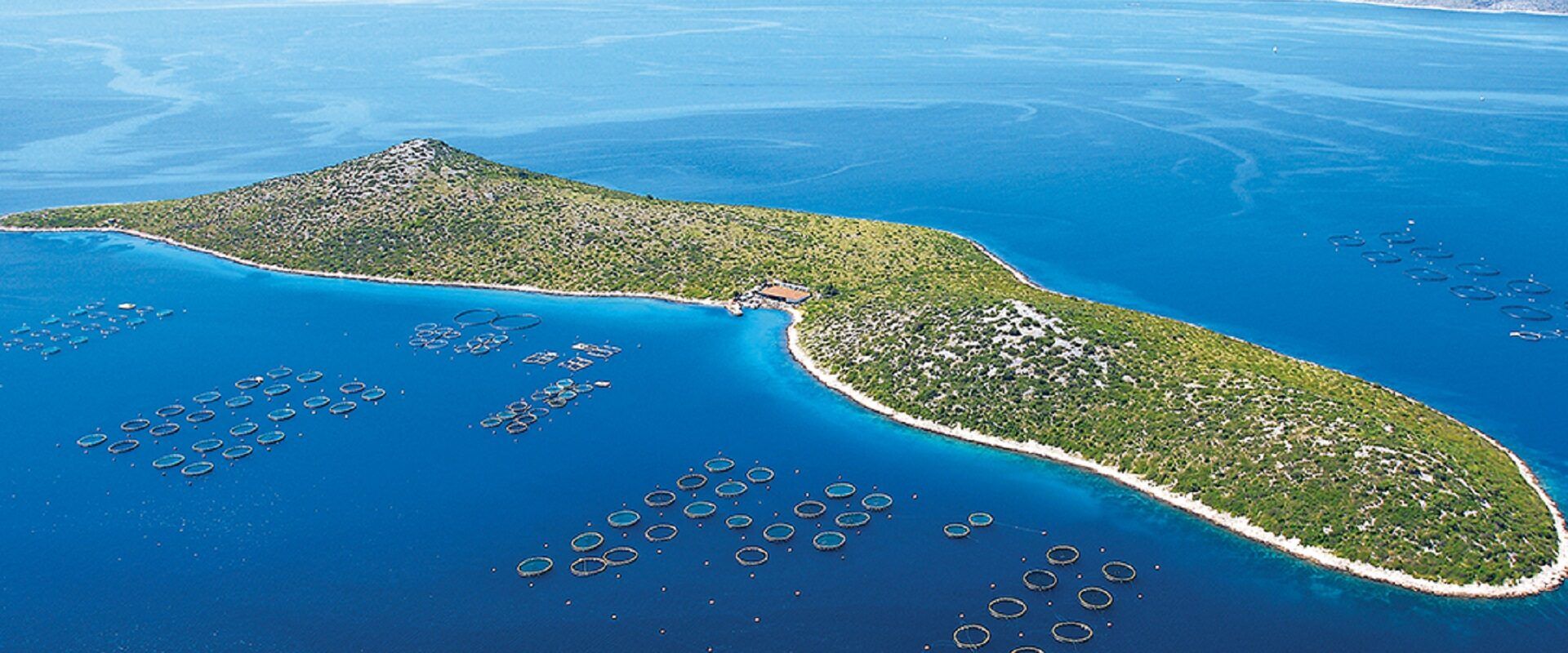 Cromaris dobitnik Zlatne košarice za najboljeg proizvođača u 2021. godini