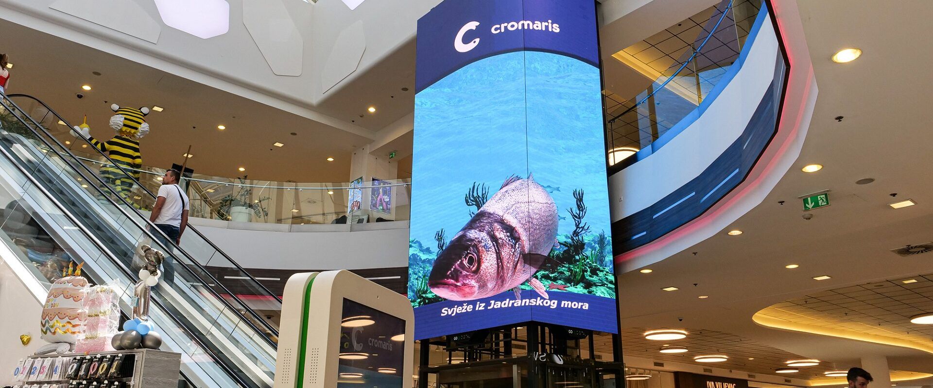 Cromaris riba zaplivala u 3D akvariju