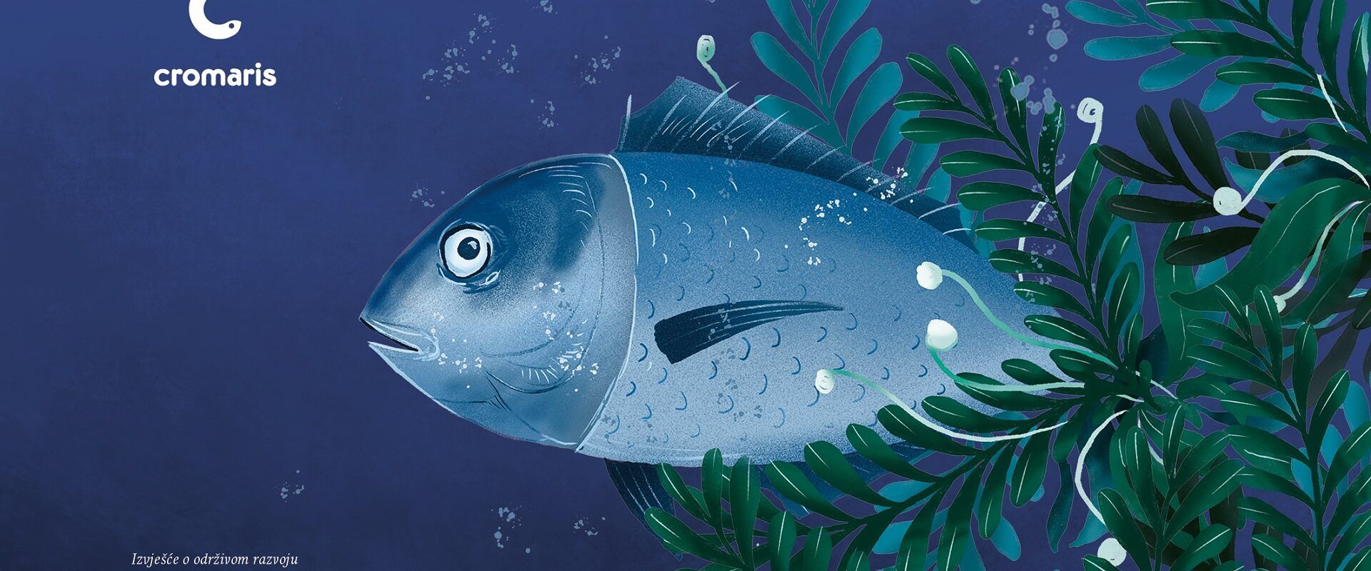 Cromaris published 2021 Sustainability Report