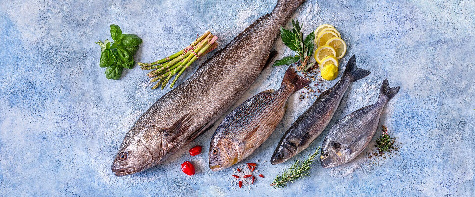 Cromaris business results in 2023.