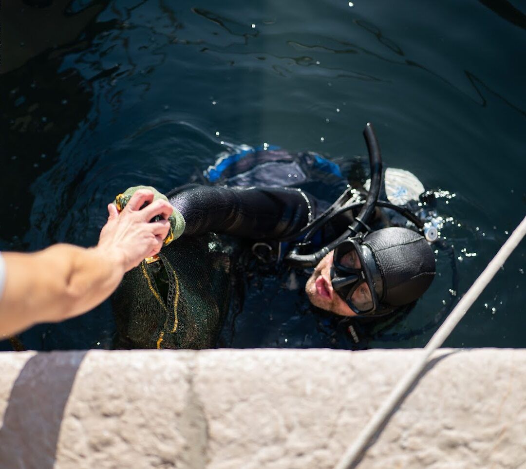 Preservation of biodiversity and ecosystems through responsible resource management - minimal impact on the environment