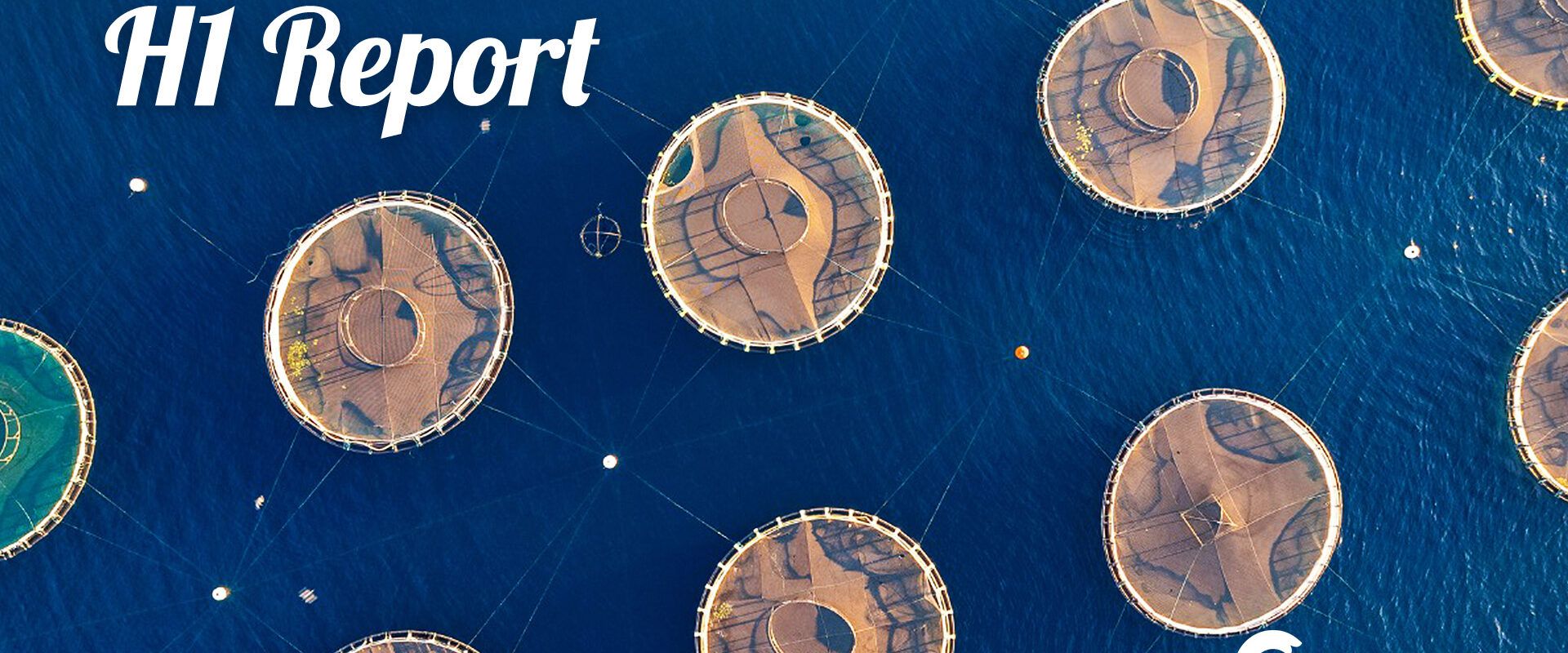 Cromaris achieved growth in revenue and net profit