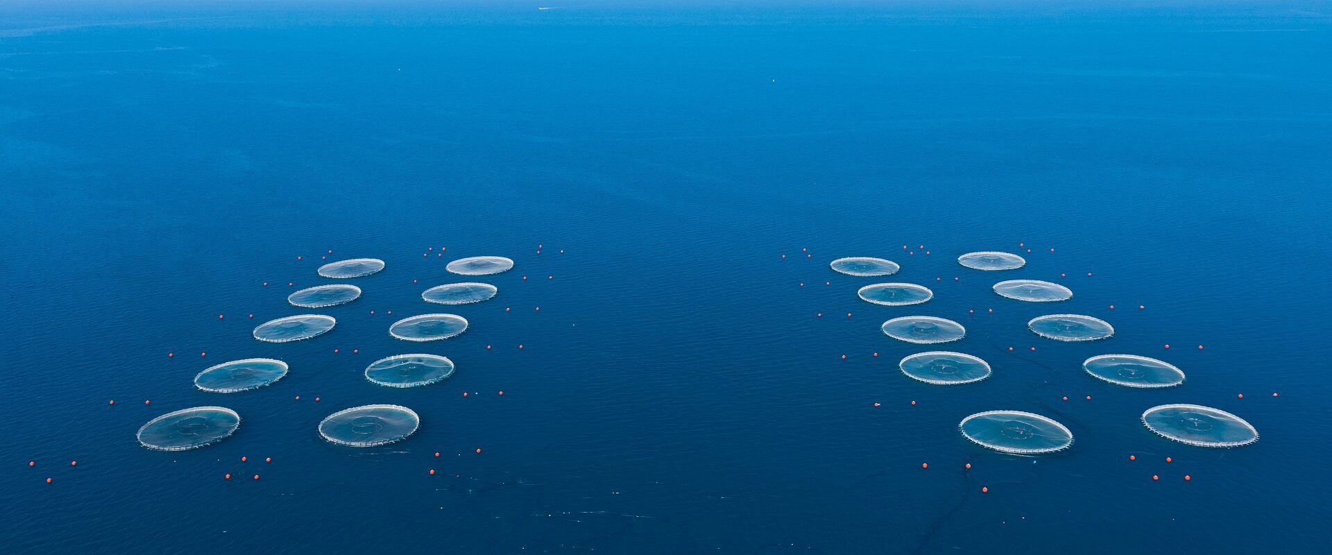 Politike održivosti