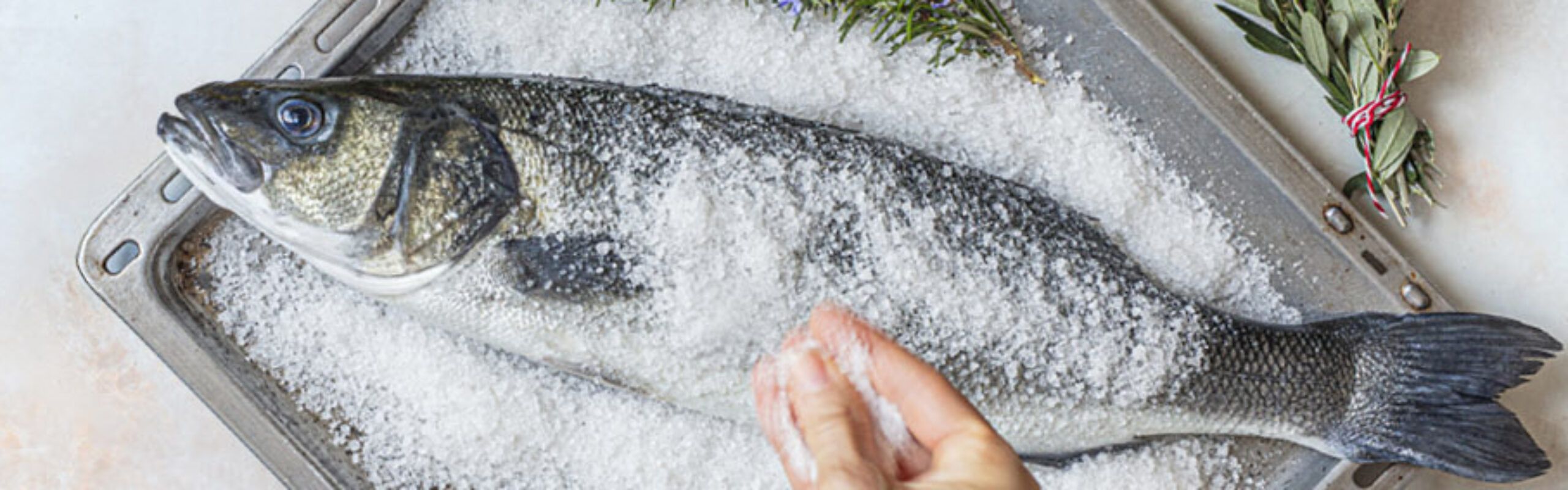 Cromaris na sajmu SENA Boston