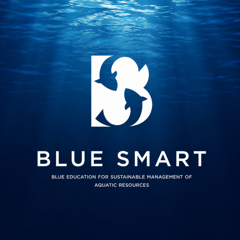 Blue Smart
